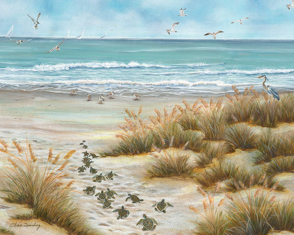 Ocean Bound 1000 piece Puzzle