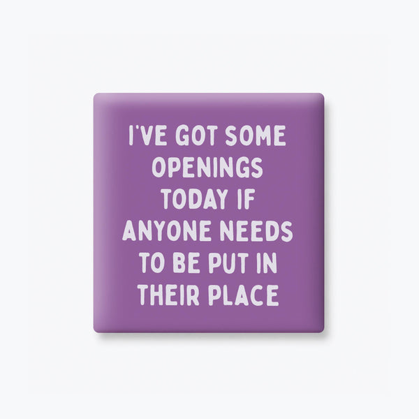 Funny Quote Magnets, Adult Humor - Put In Your Place