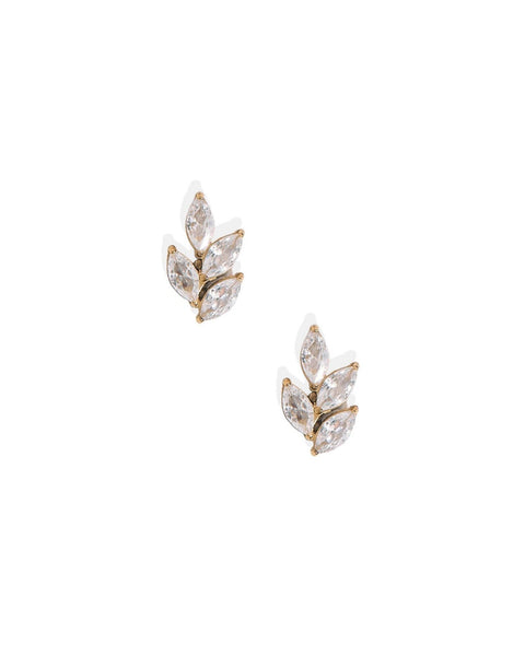 Screwback Stud Earrings - Laurel Gold