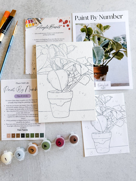 Plant Still Life Mini Paint By Number